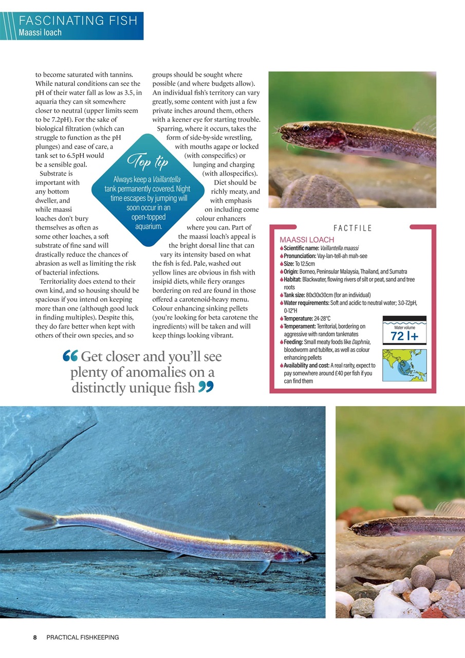 Practical Fishkeeping Preview Pages