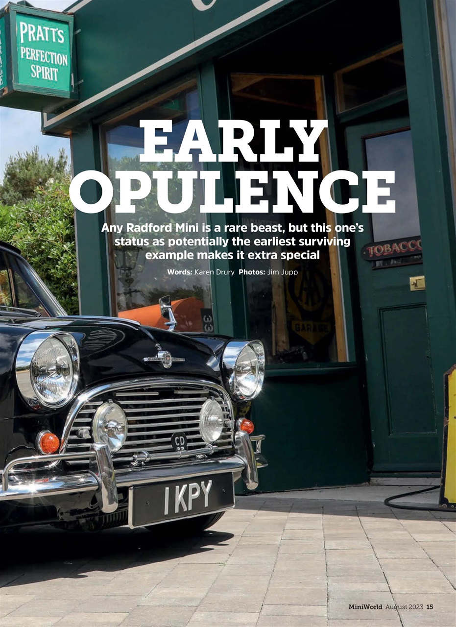 Mini World Preview Pages