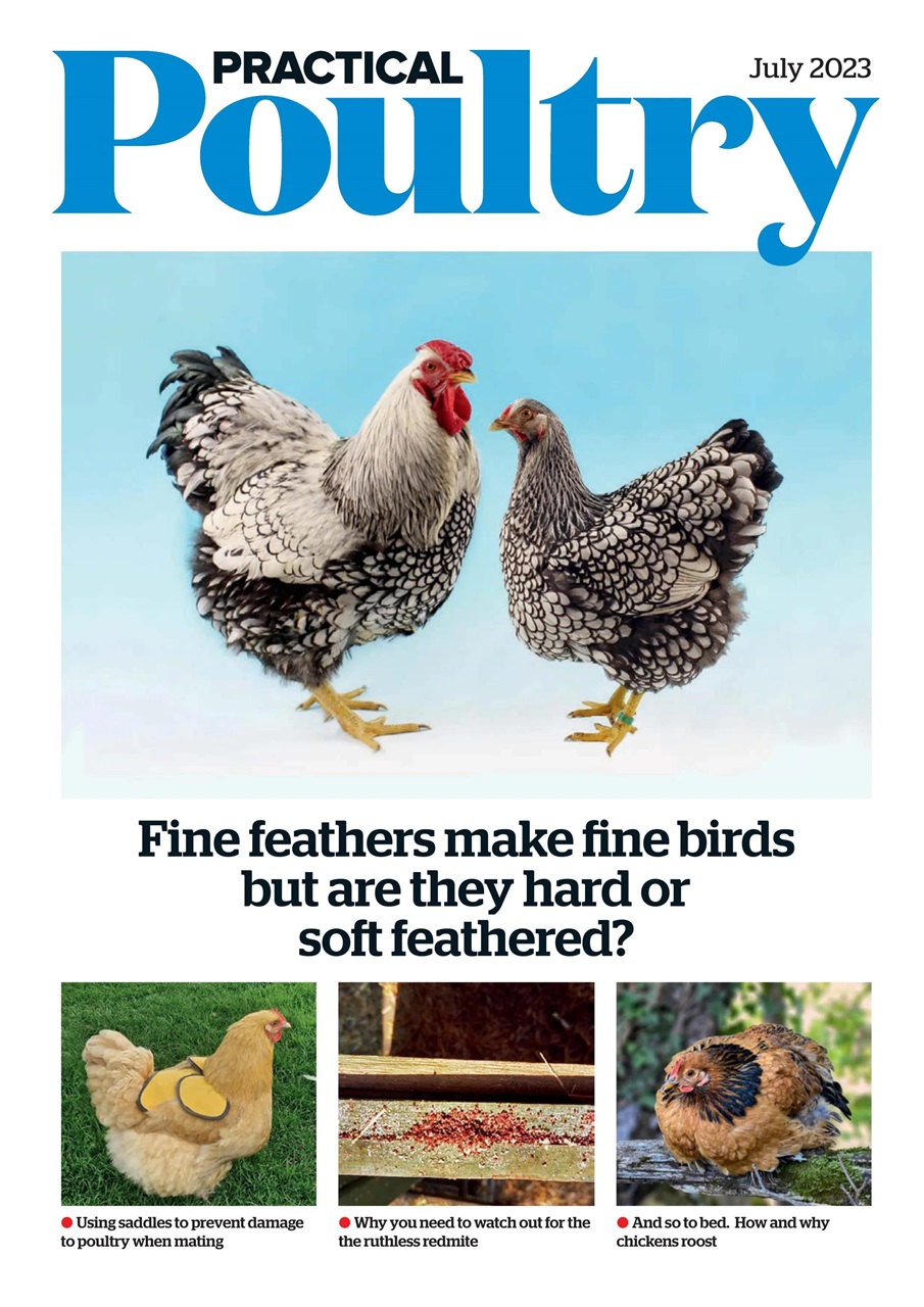The Country Smallholder Preview Pages