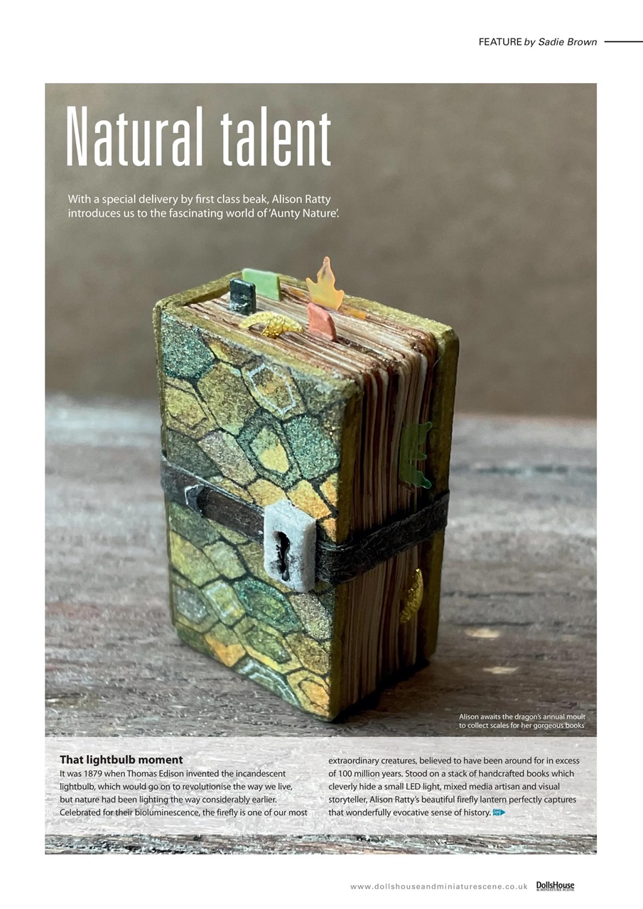 Dolls House and Miniature Scene Preview Pages