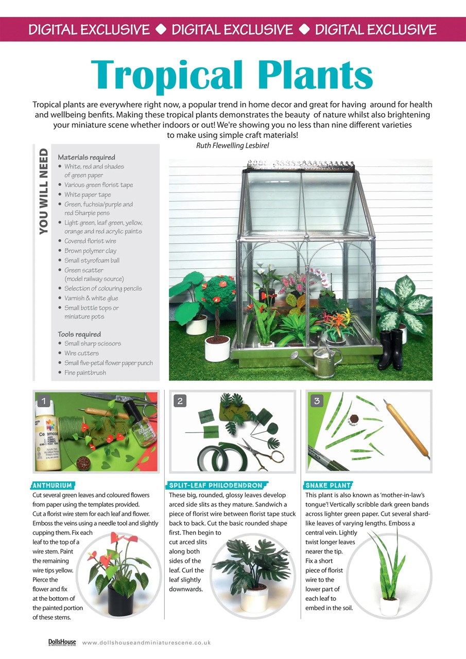Dolls House and Miniature Scene Preview Pages