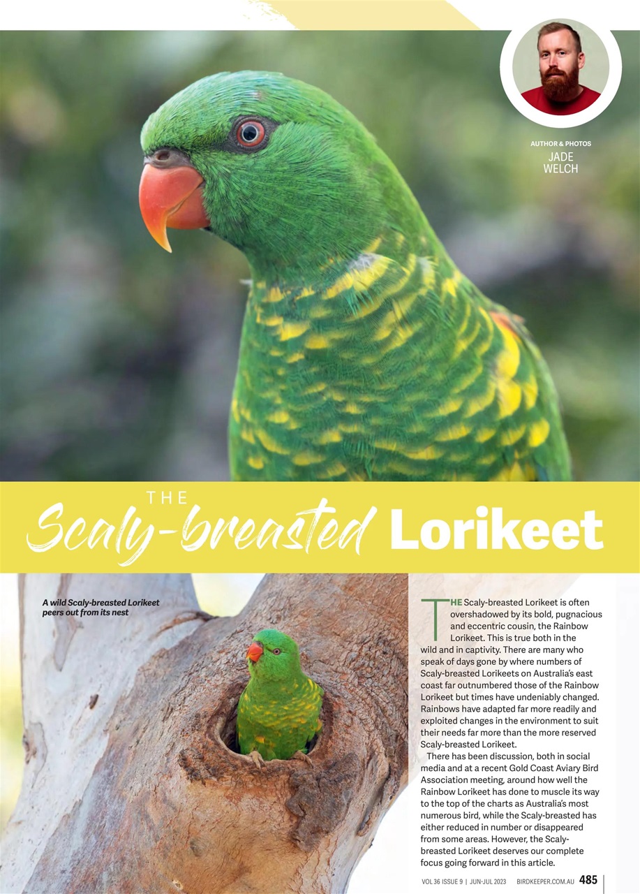 Australian Birdkeeper Magazine Preview Pages