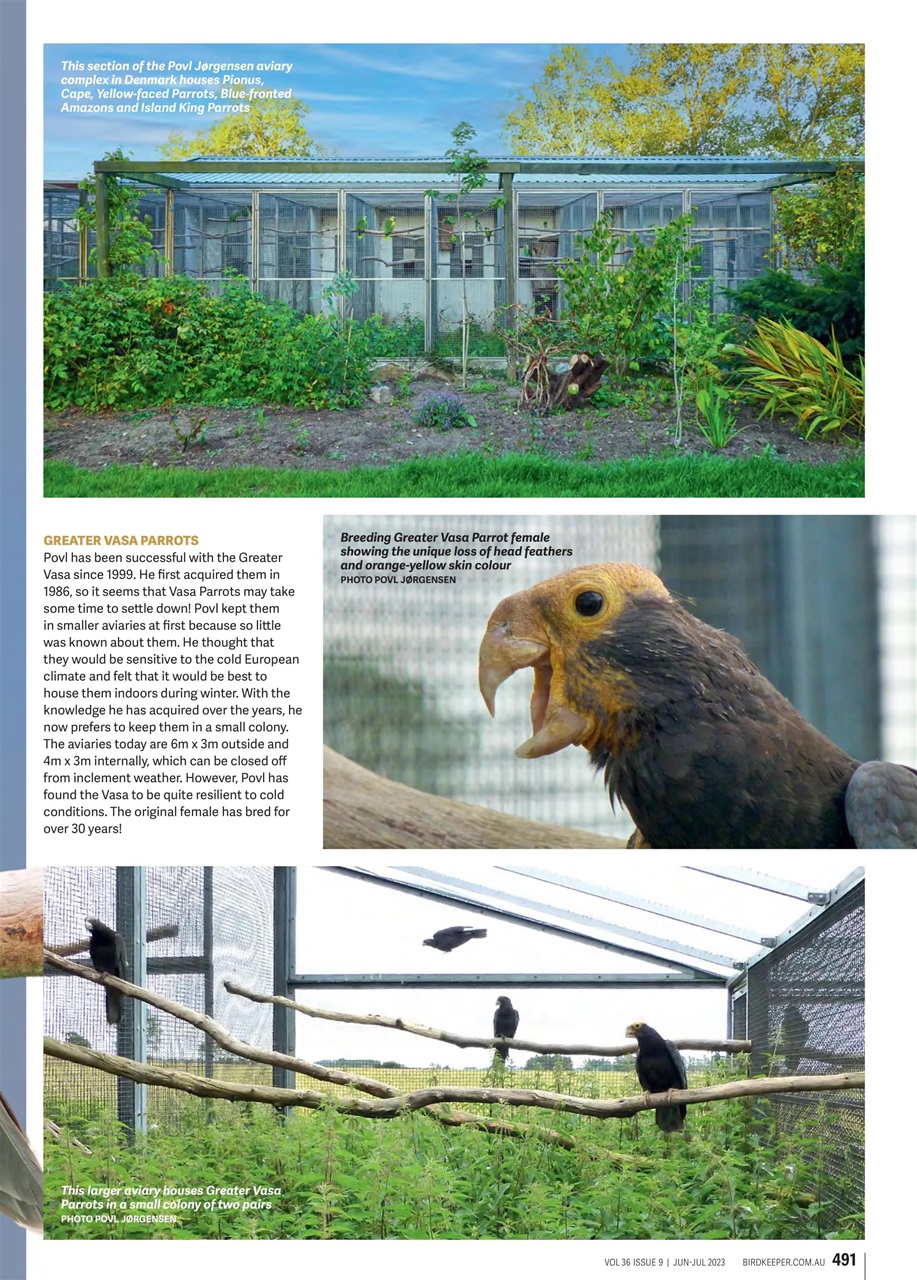 Australian Birdkeeper Magazine Preview Pages
