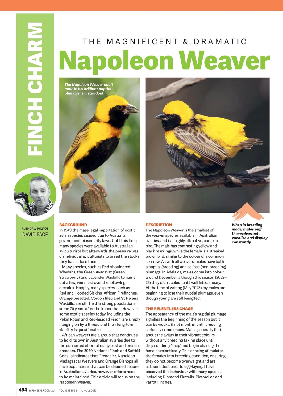 Australian Birdkeeper Magazine Preview Pages