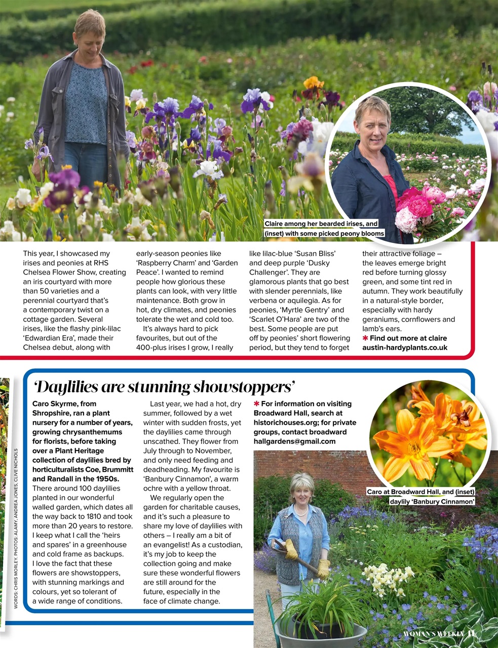 Woman's Weekly Preview Pages