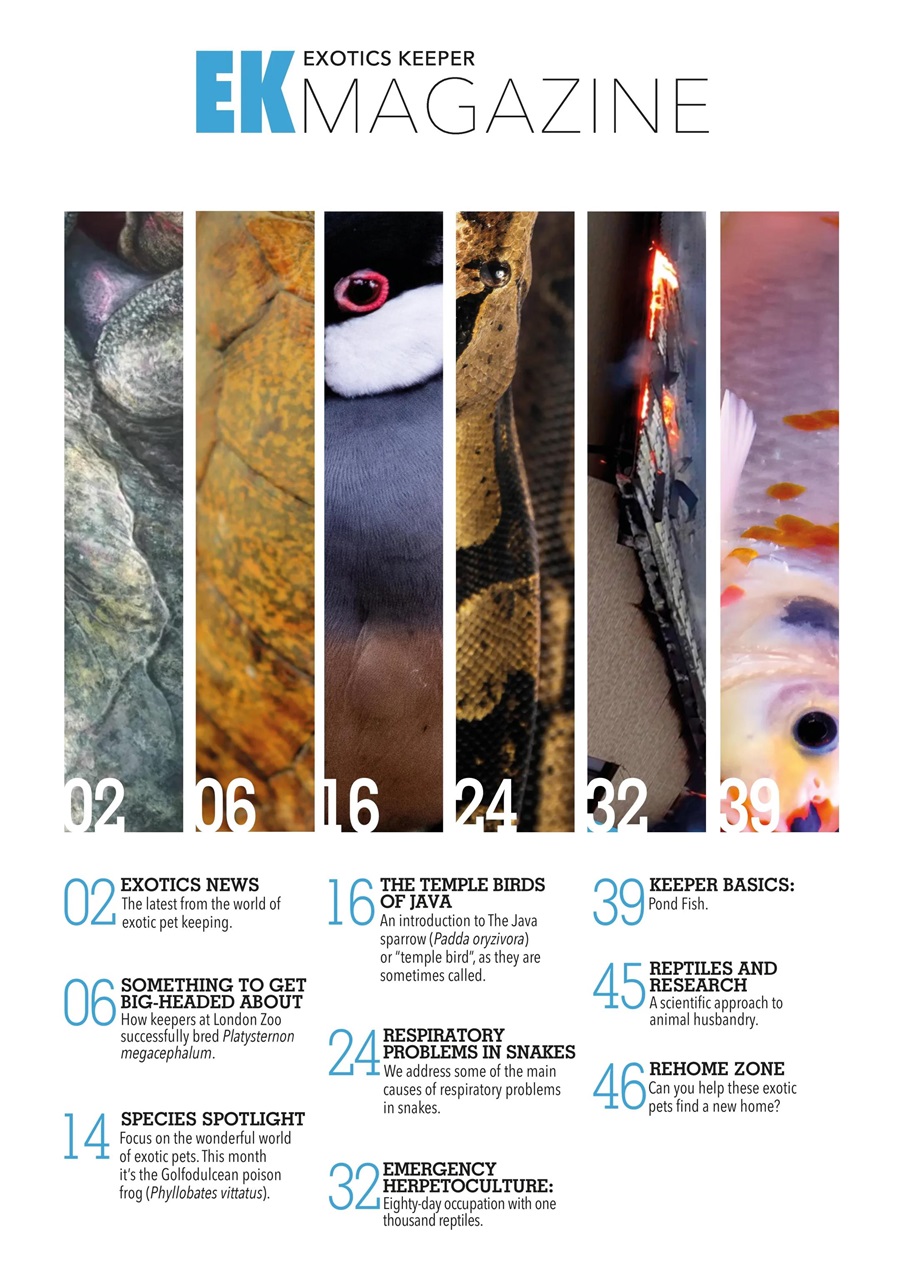 Exotics Keeper Preview Pages