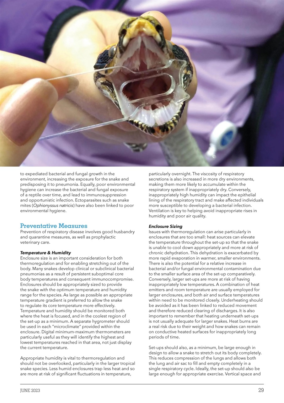 Exotics Keeper Preview Pages