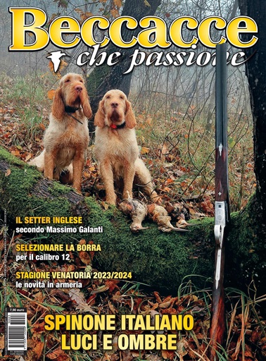 BECCACCE CHE PASSIONE issue 