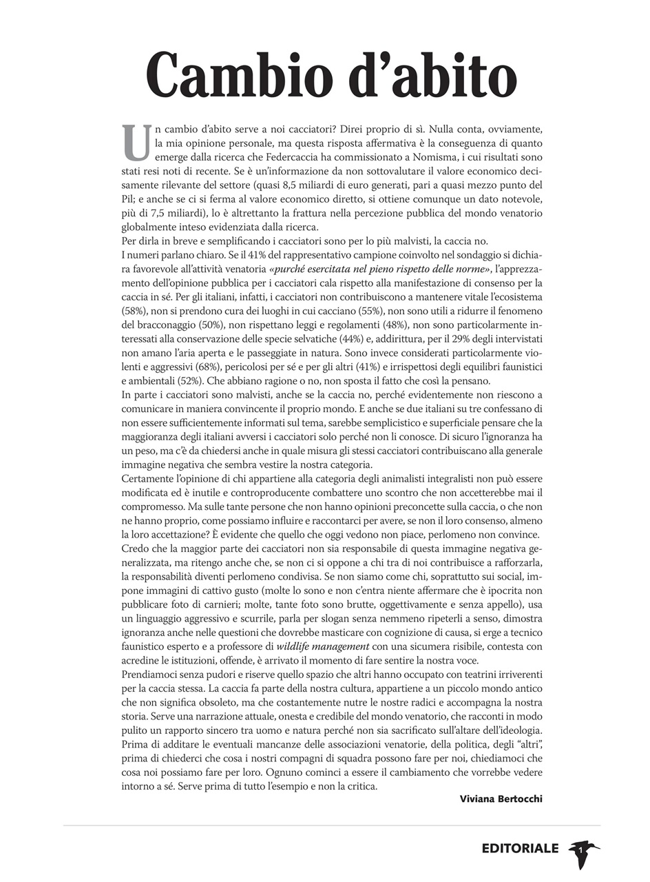 BECCACCE CHE PASSIONE Preview Pages