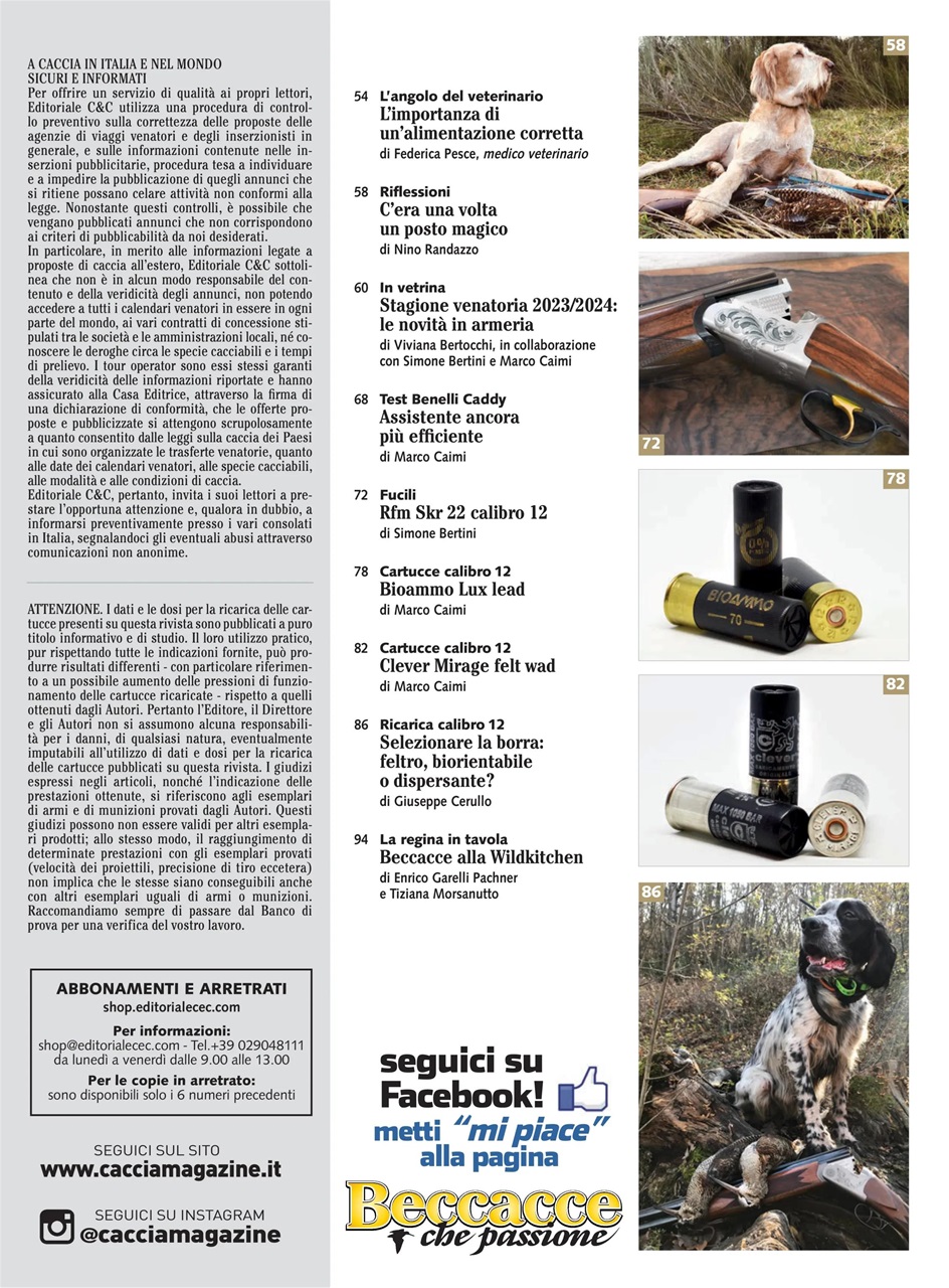 BECCACCE CHE PASSIONE Preview Pages