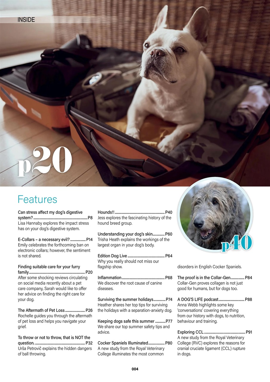 Edition Dog Preview Pages