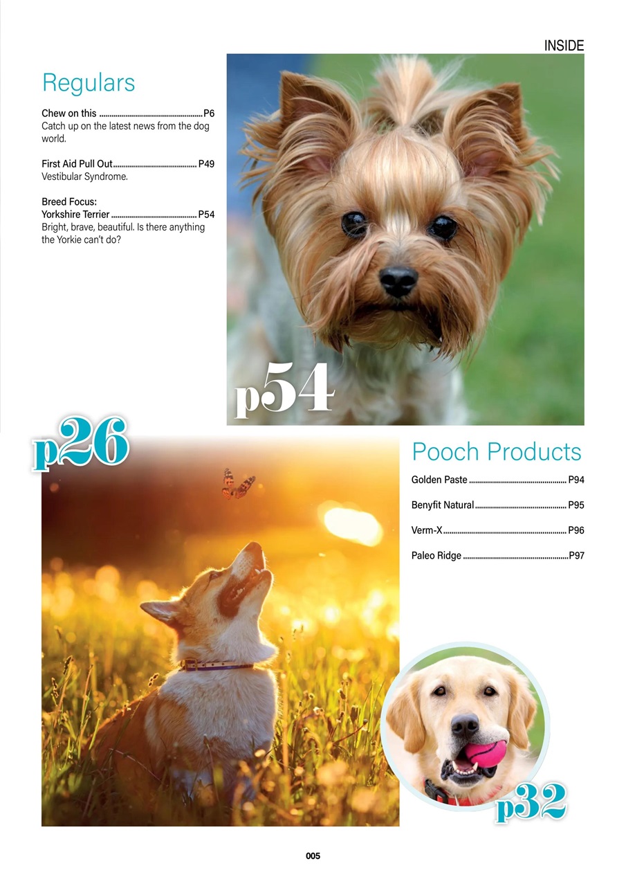 Edition Dog Preview Pages