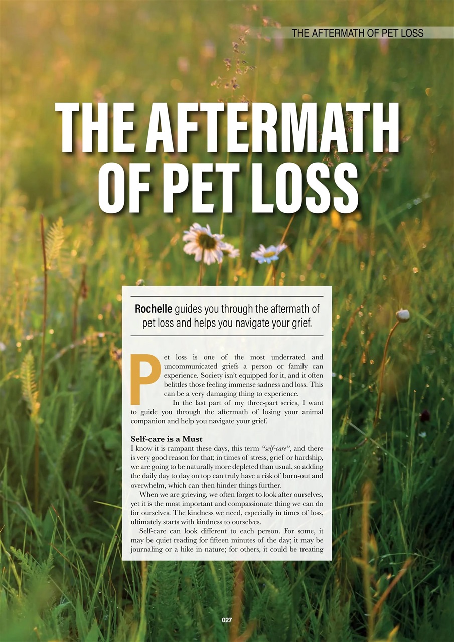 Edition Dog Preview Pages