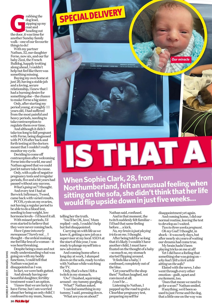 Pick Me Up Preview Pages