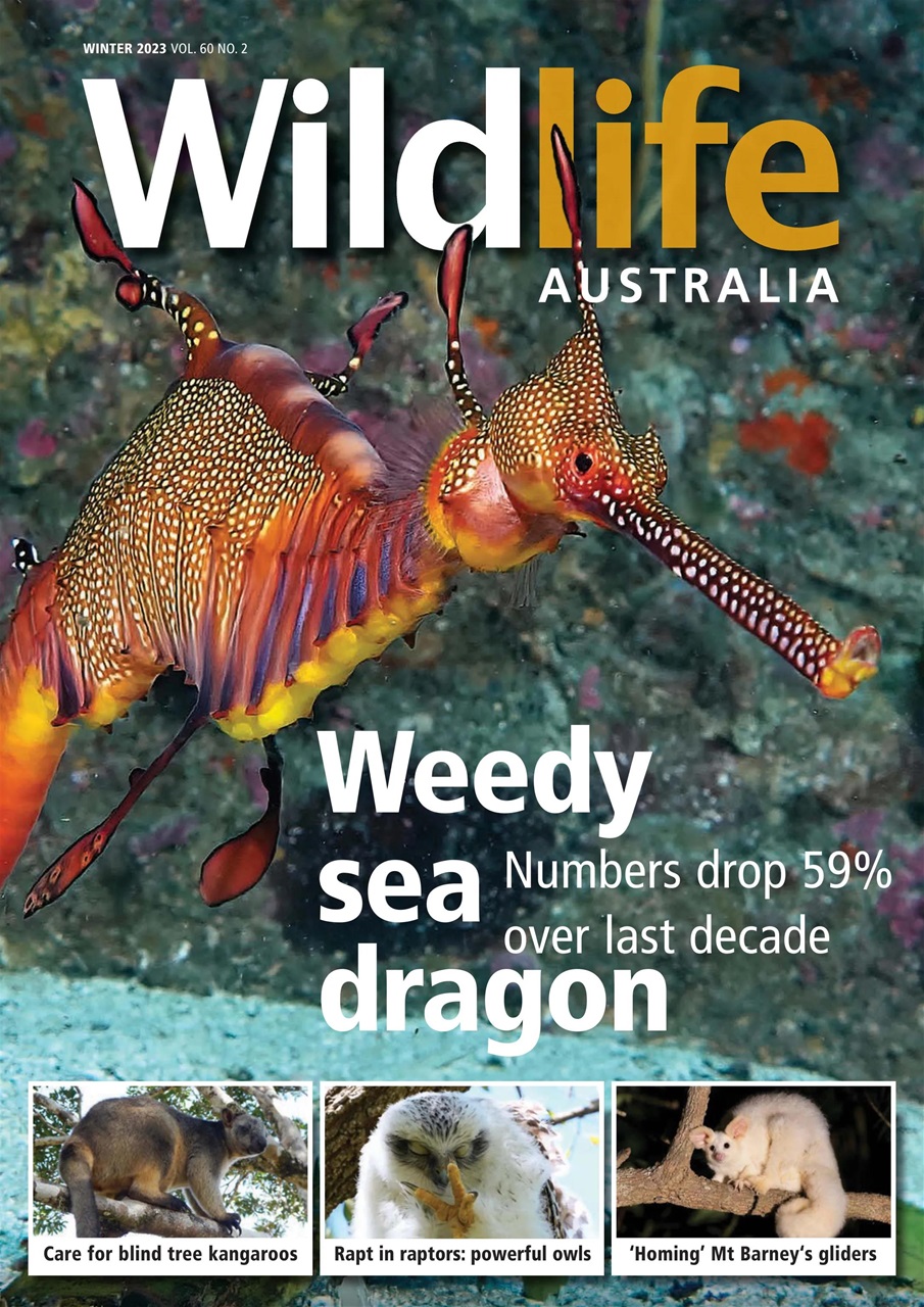 Wildlife Australia Preview Pages