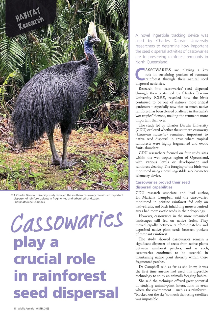 Wildlife Australia Preview Pages