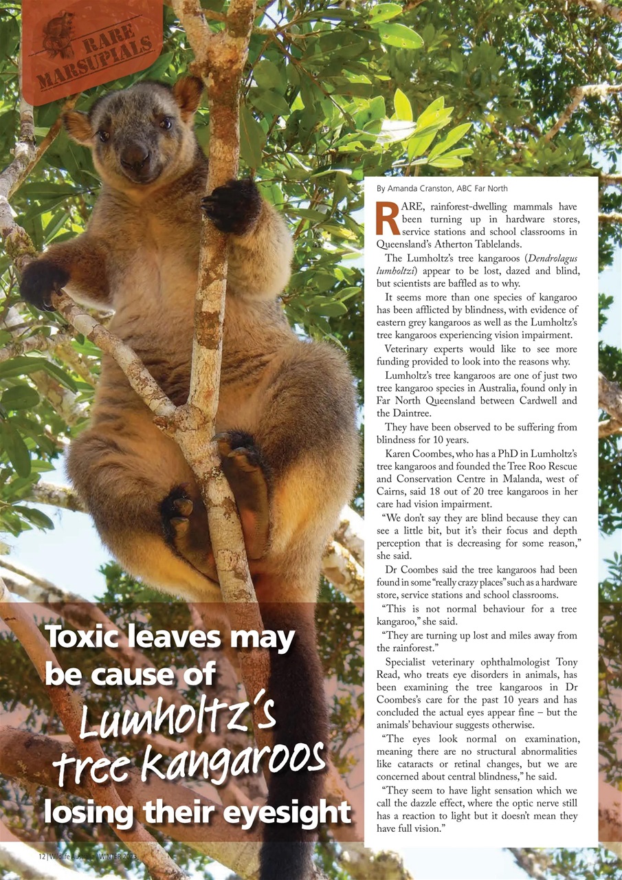 Wildlife Australia Preview Pages