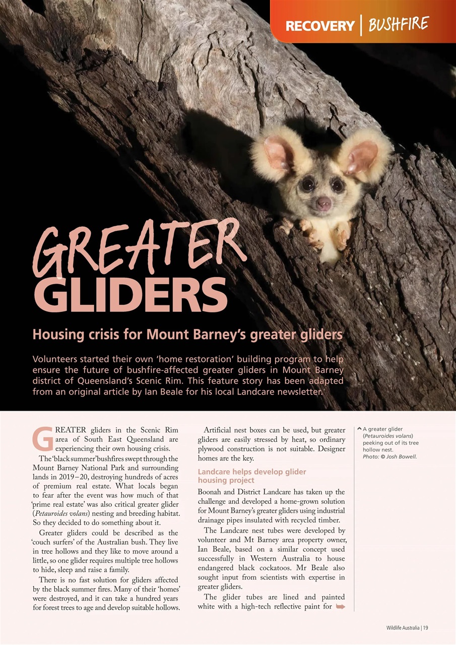 Wildlife Australia Preview Pages
