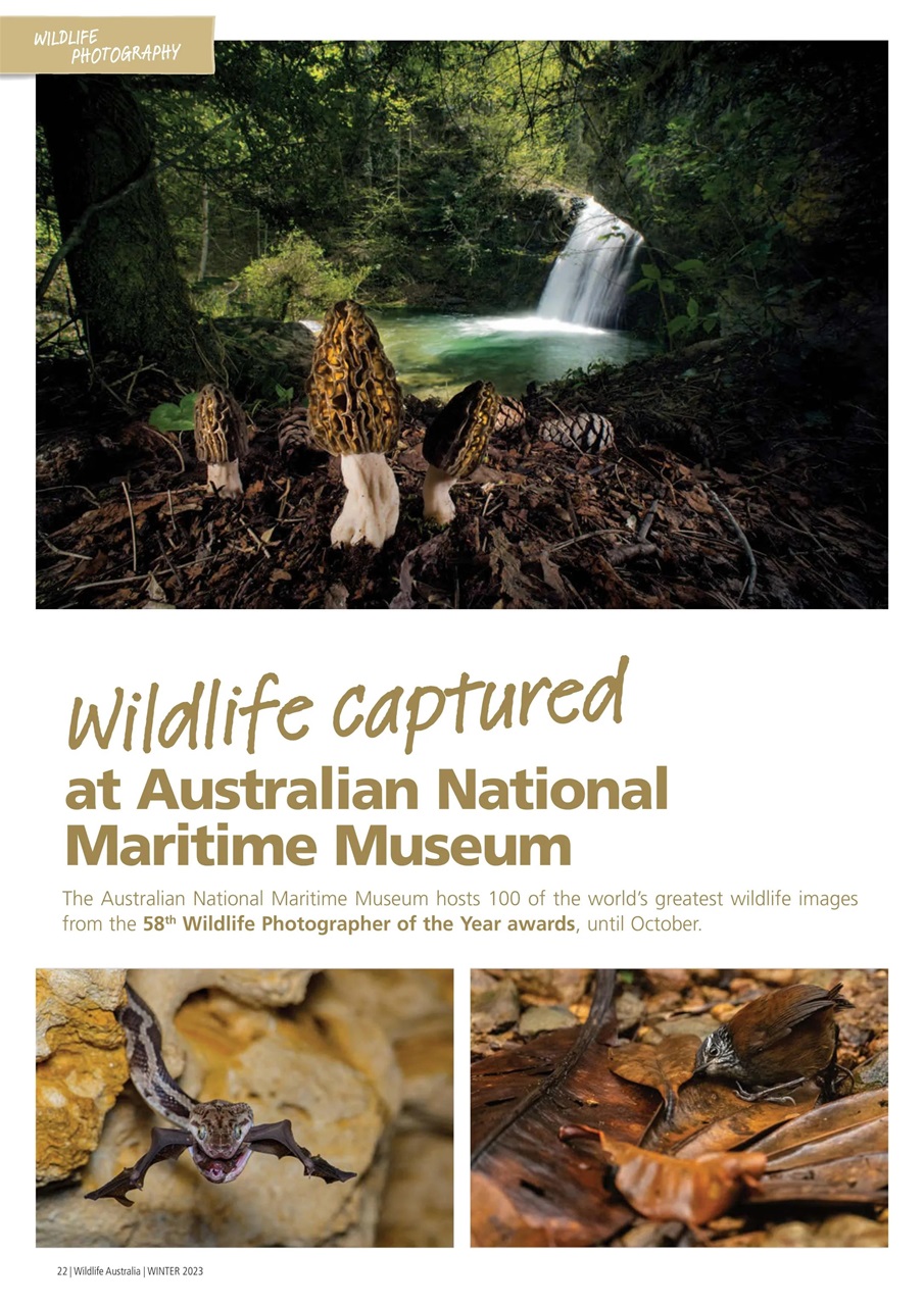 Wildlife Australia Preview Pages