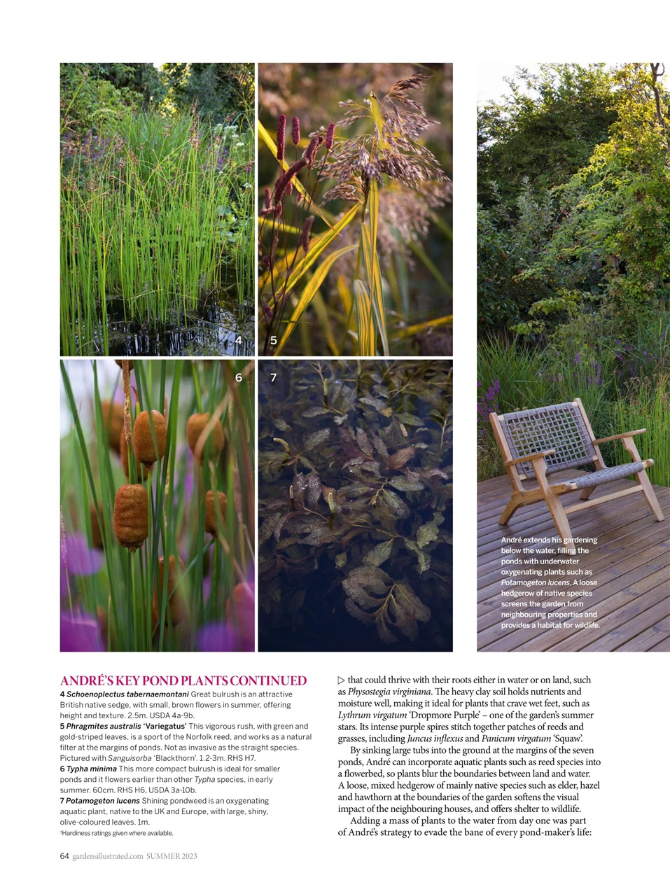 Gardens Illustrated Preview Pages