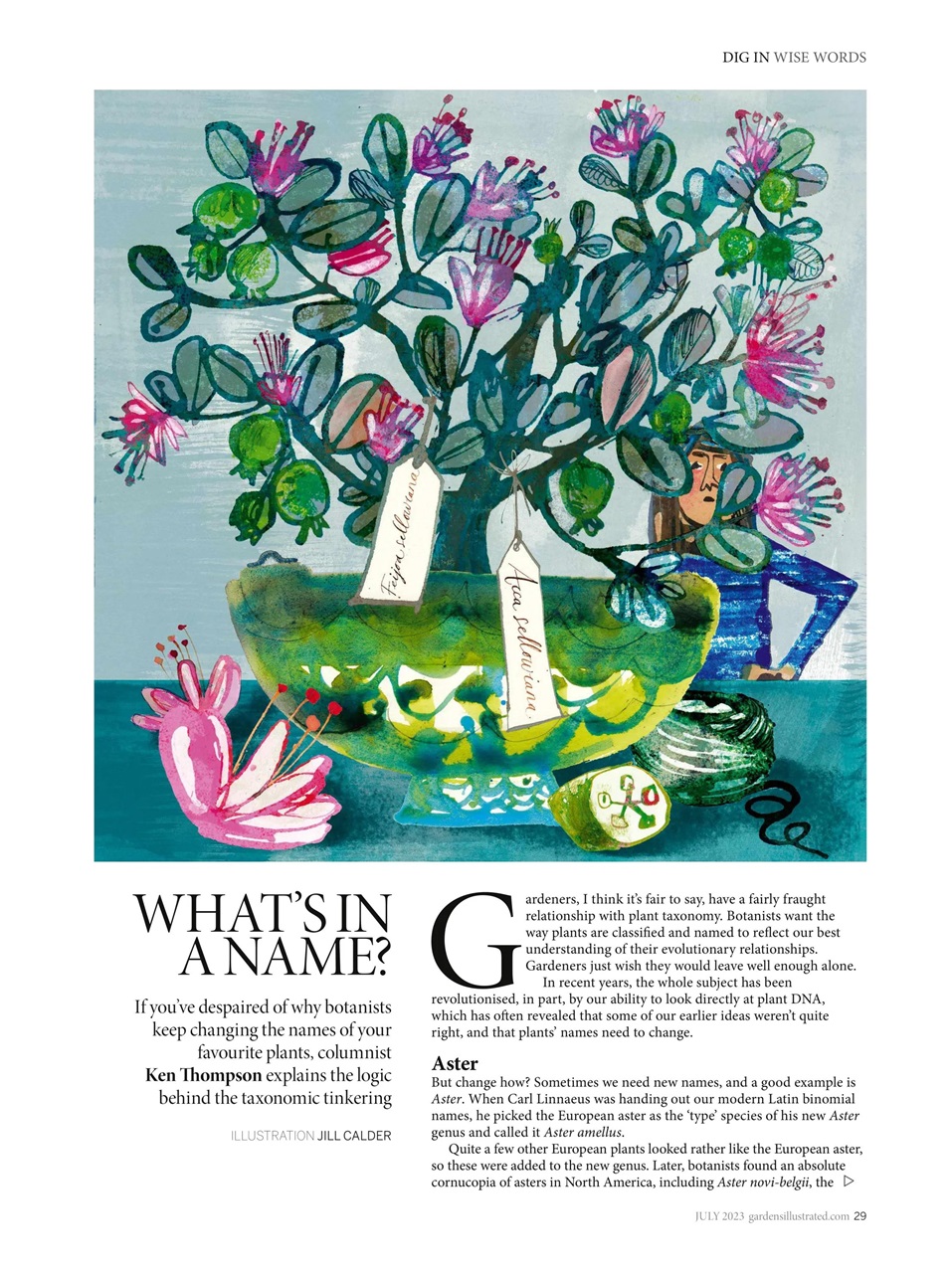 Gardens Illustrated Preview Pages