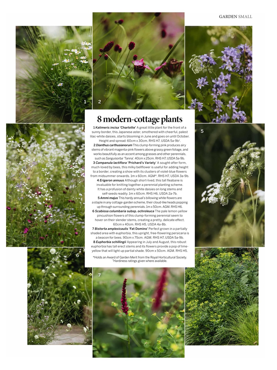 Gardens Illustrated Preview Pages