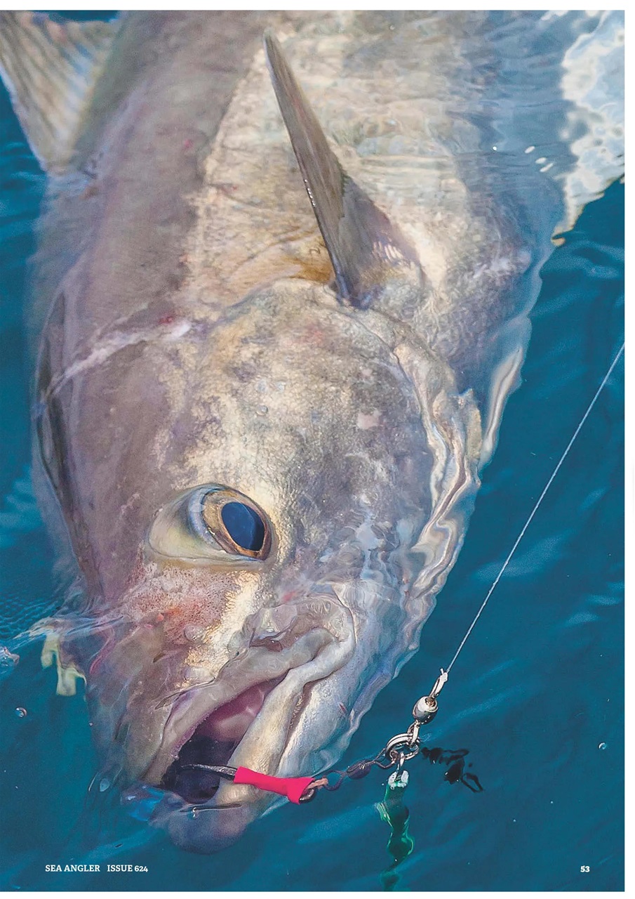 Sea Angler Preview Pages