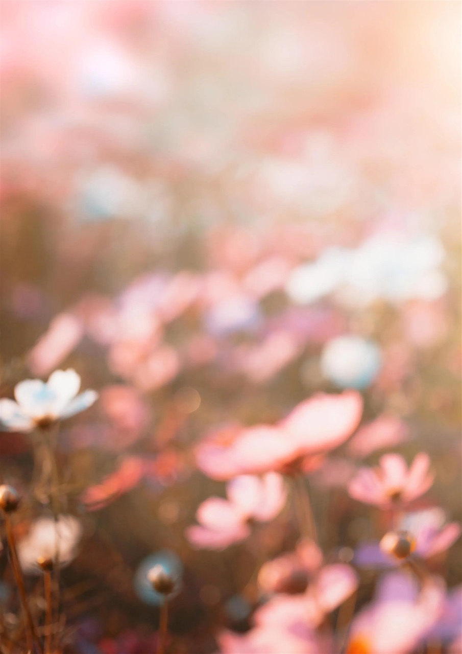 Witchology Magazine Preview Pages