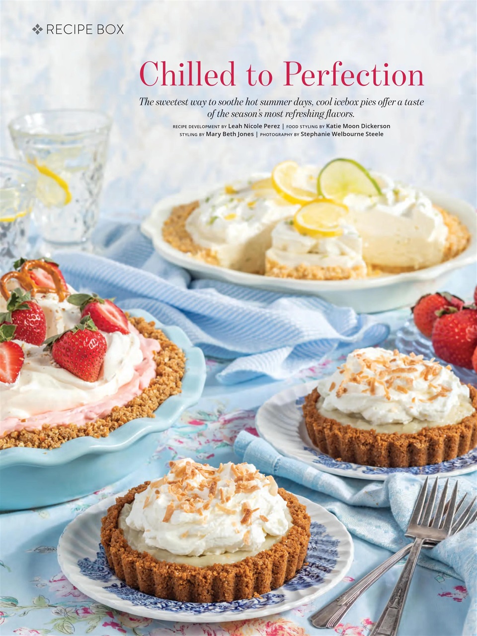 Southern Lady Preview Pages
