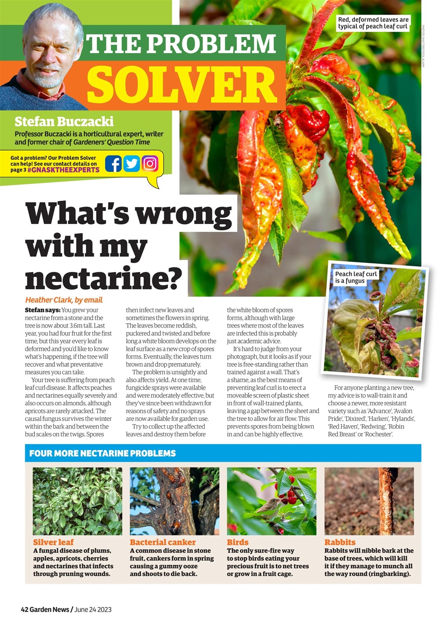 Garden News Preview Pages