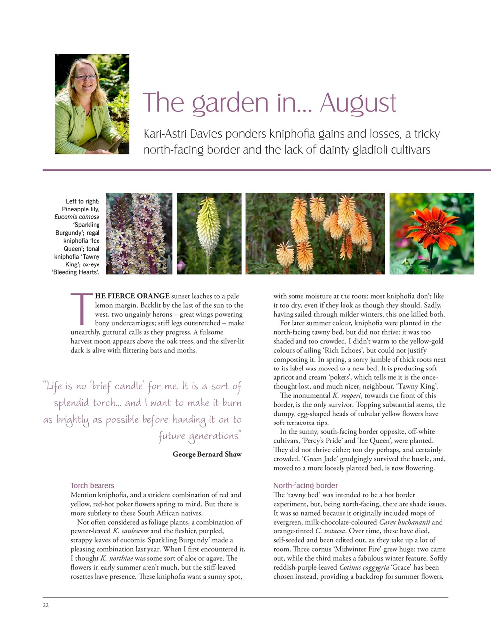 LandScape Preview Pages