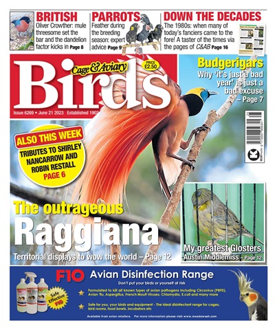 Cage & Aviary Birds issue 21-Jun-23
