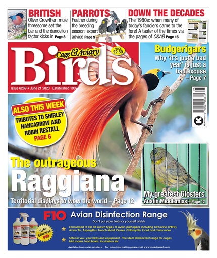 Cage & Aviary Birds issue 