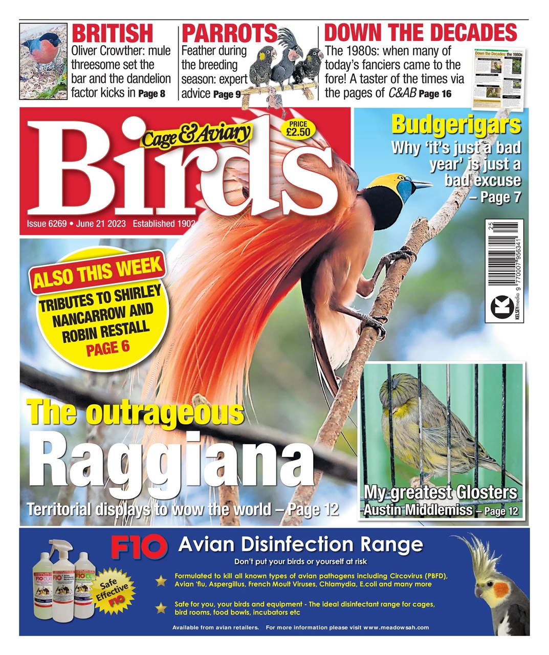 Cage & Aviary Birds Preview Pages