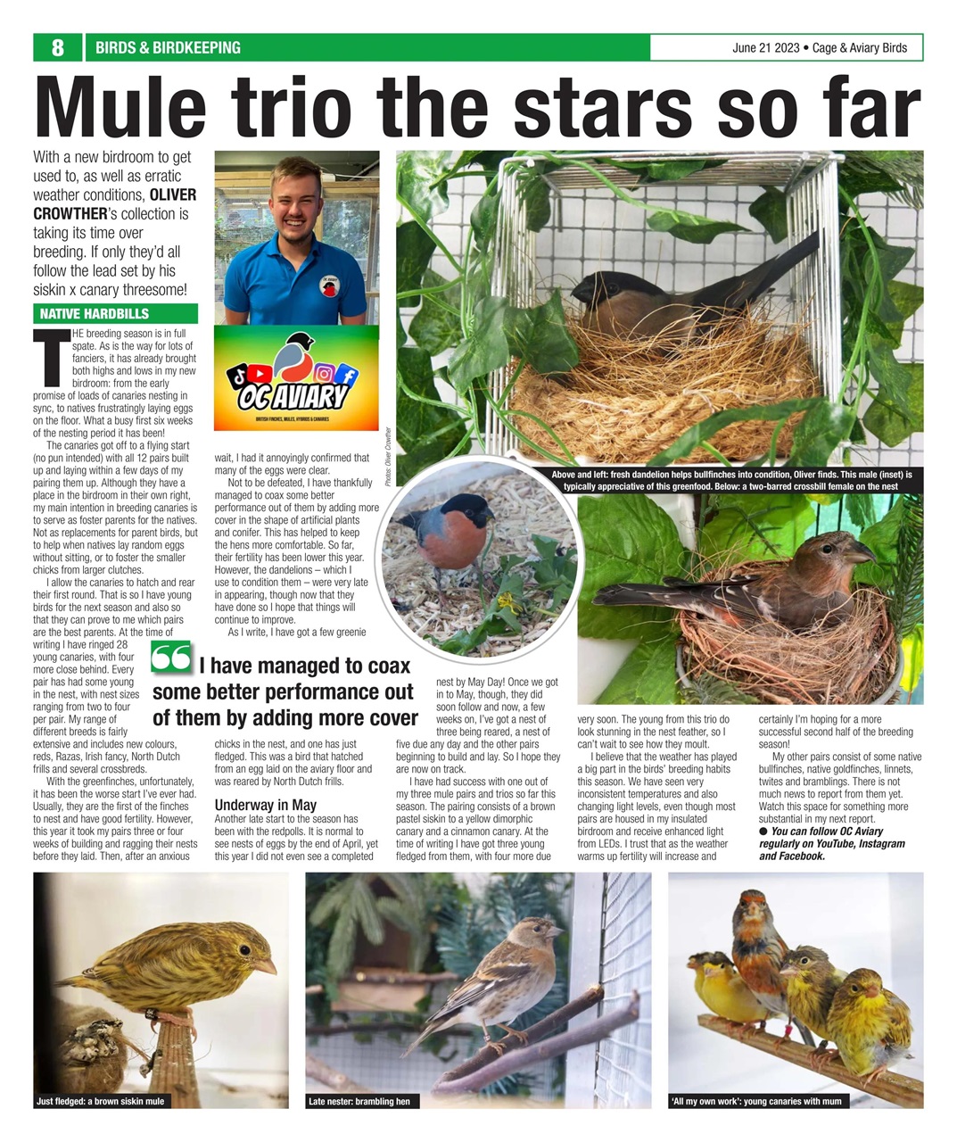 Cage & Aviary Birds Preview Pages