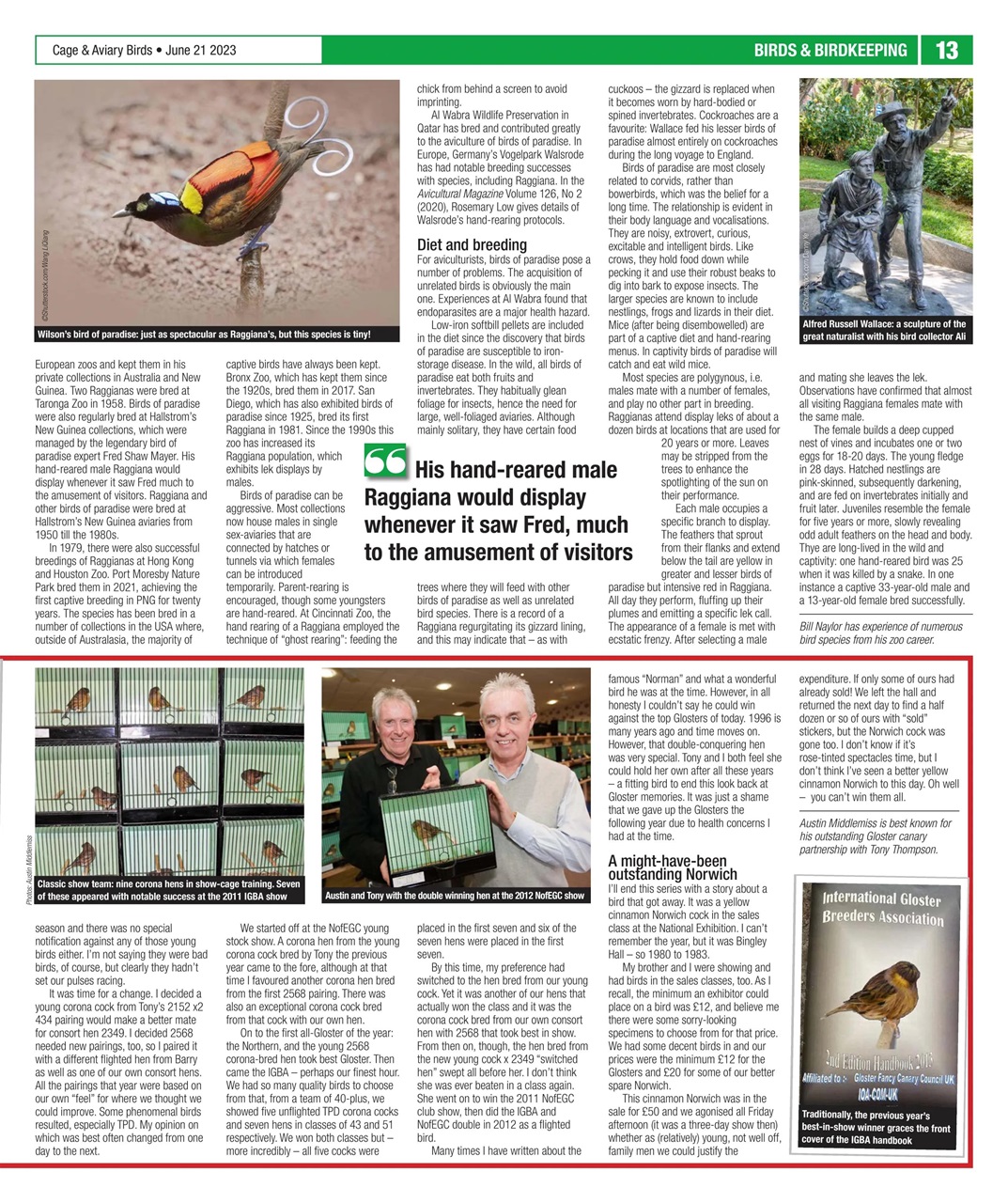 Cage & Aviary Birds Preview Pages