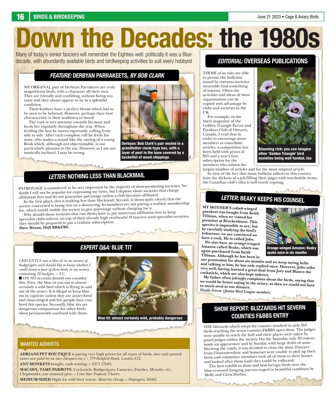 Cage & Aviary Birds Preview Pages