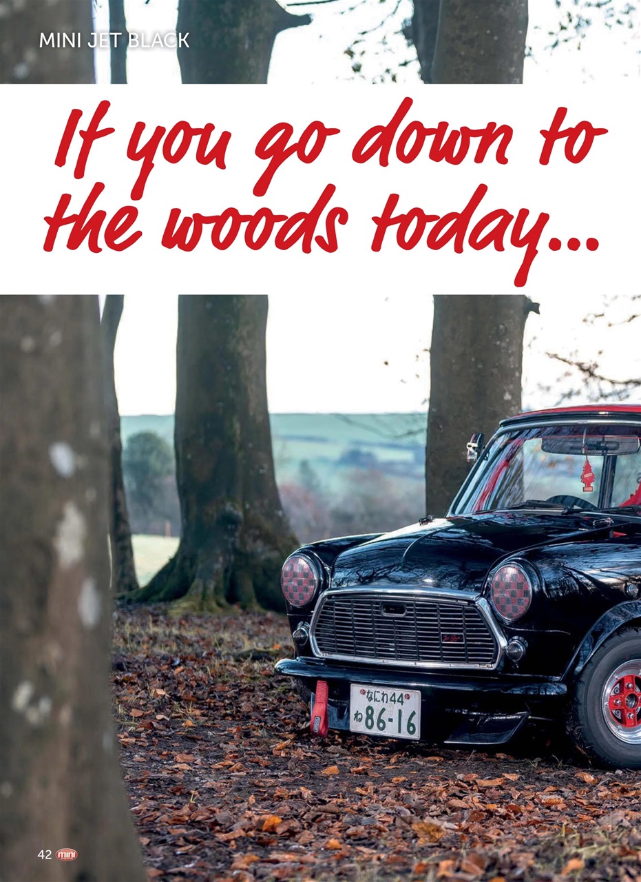 Mini Magazine Preview Pages