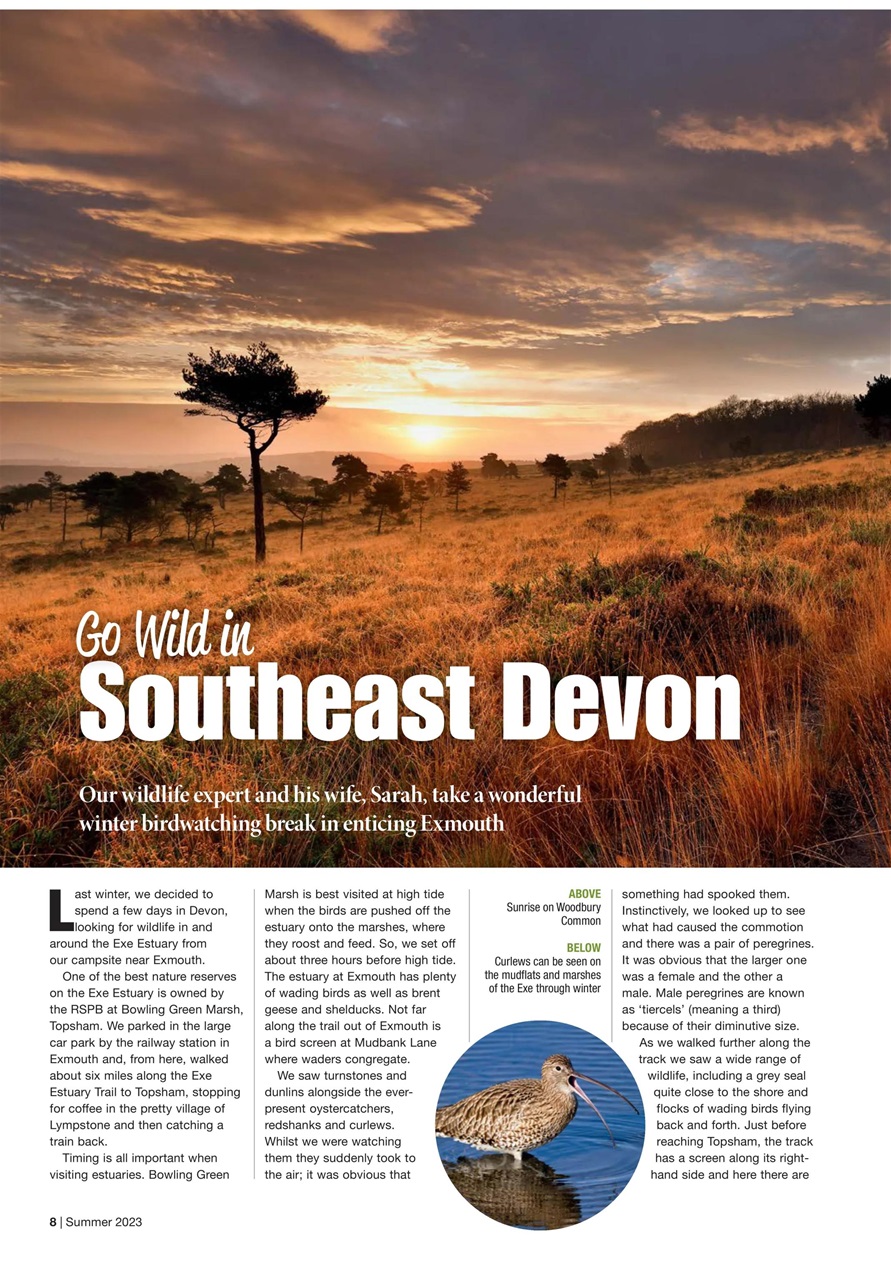 Caravan Magazine Preview Pages