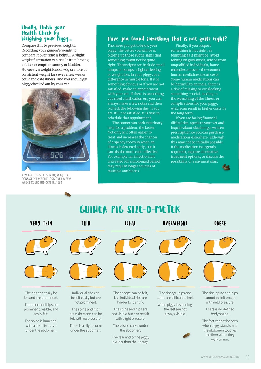 Guinea Pig Magazine Preview Pages