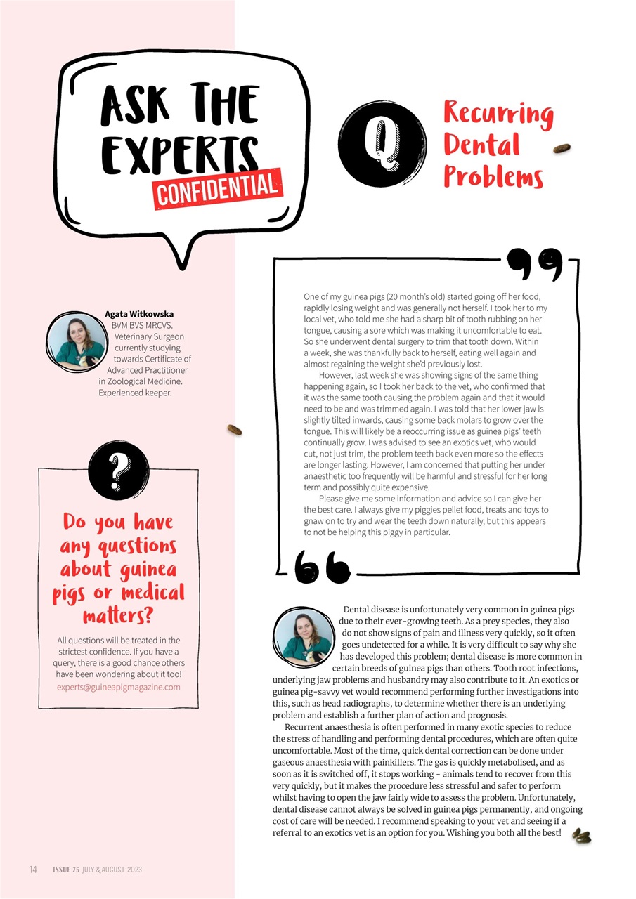 Guinea Pig Magazine Preview Pages