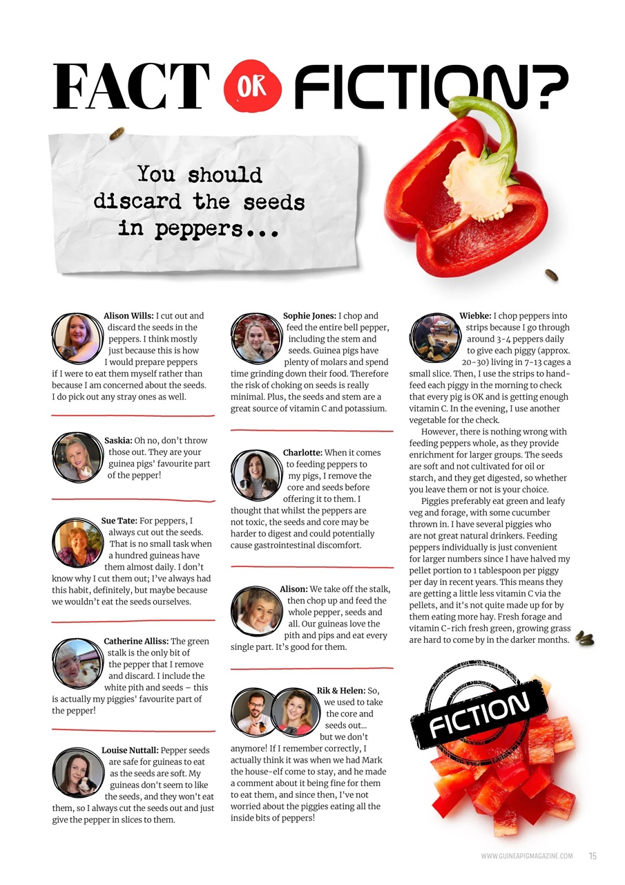 Guinea Pig Magazine Preview Pages