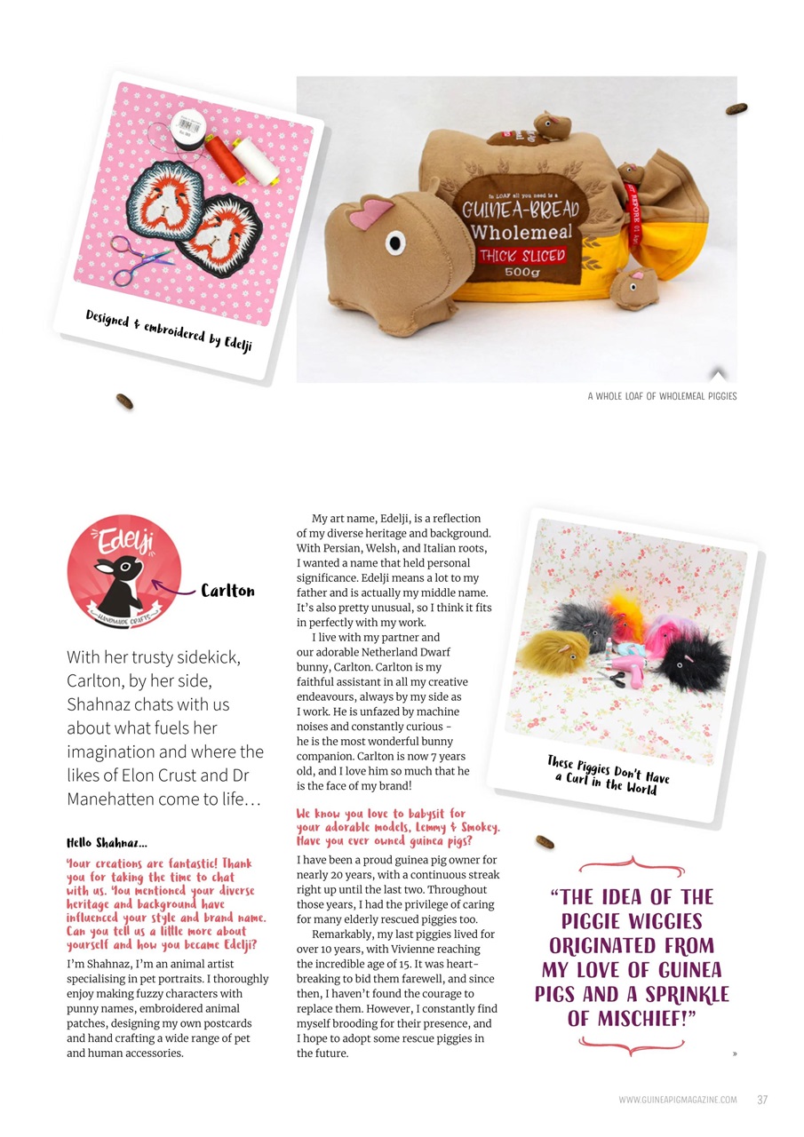 Guinea Pig Magazine Preview Pages