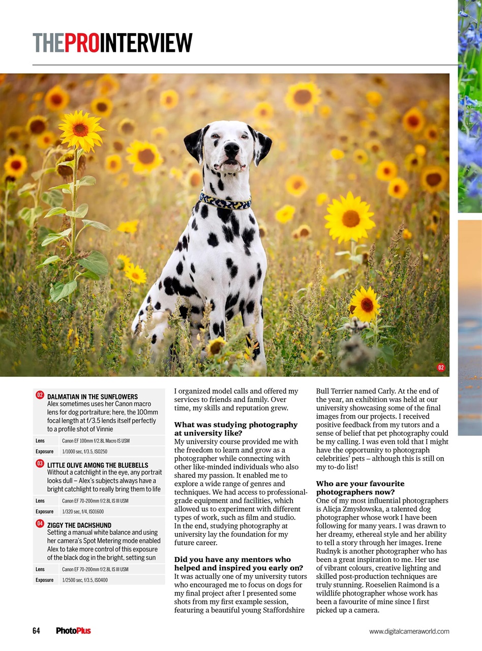 PhotoPlus Preview Pages