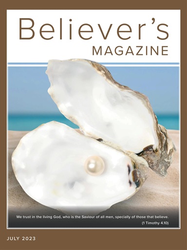 Believer Magazine issue 