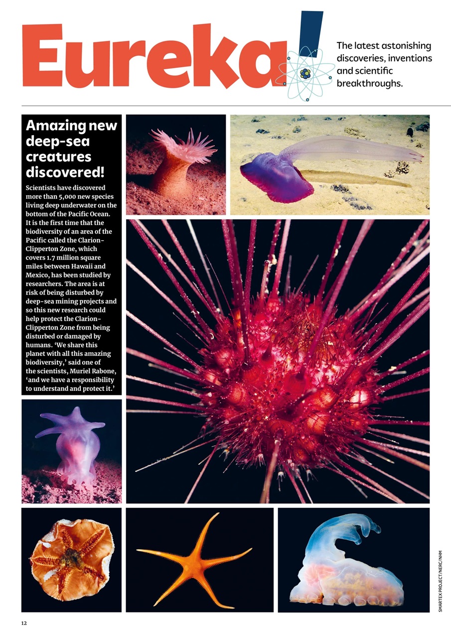 What on Earth! Magazine Preview Pages