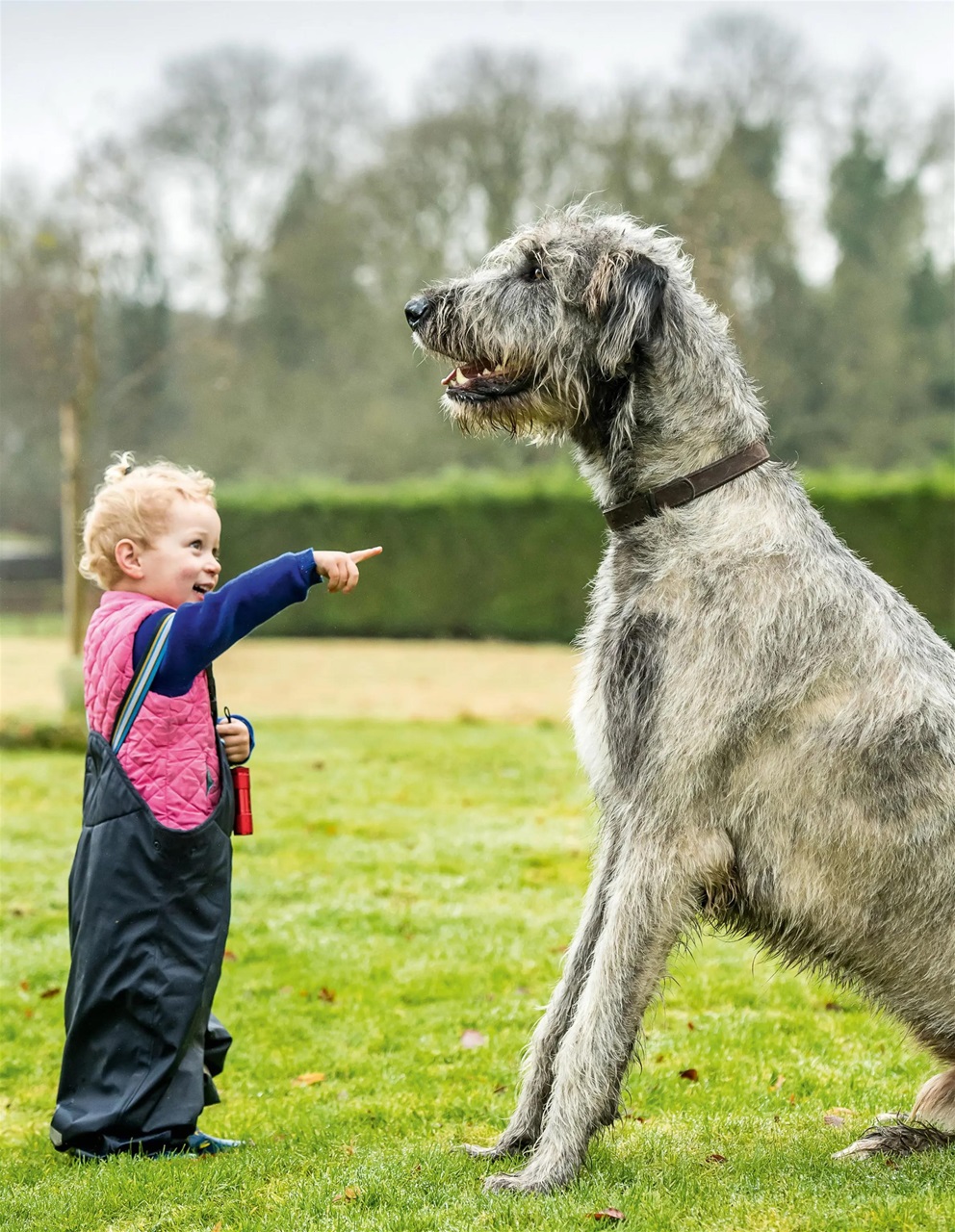 Country Life Bookazine Preview Pages