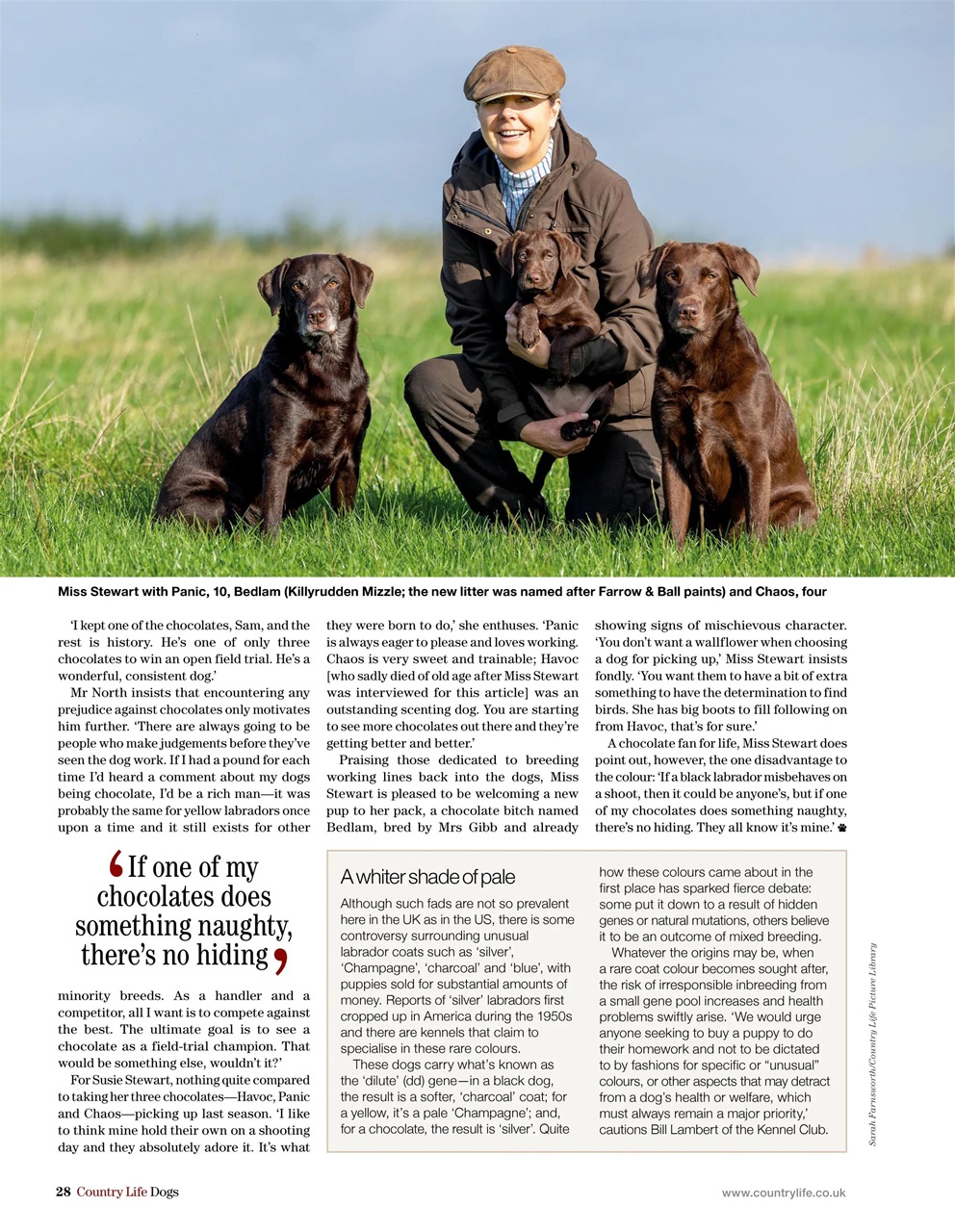 Country Life Bookazine Preview Pages