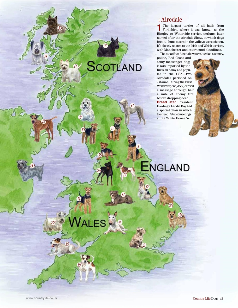 Country Life Bookazine Preview Pages