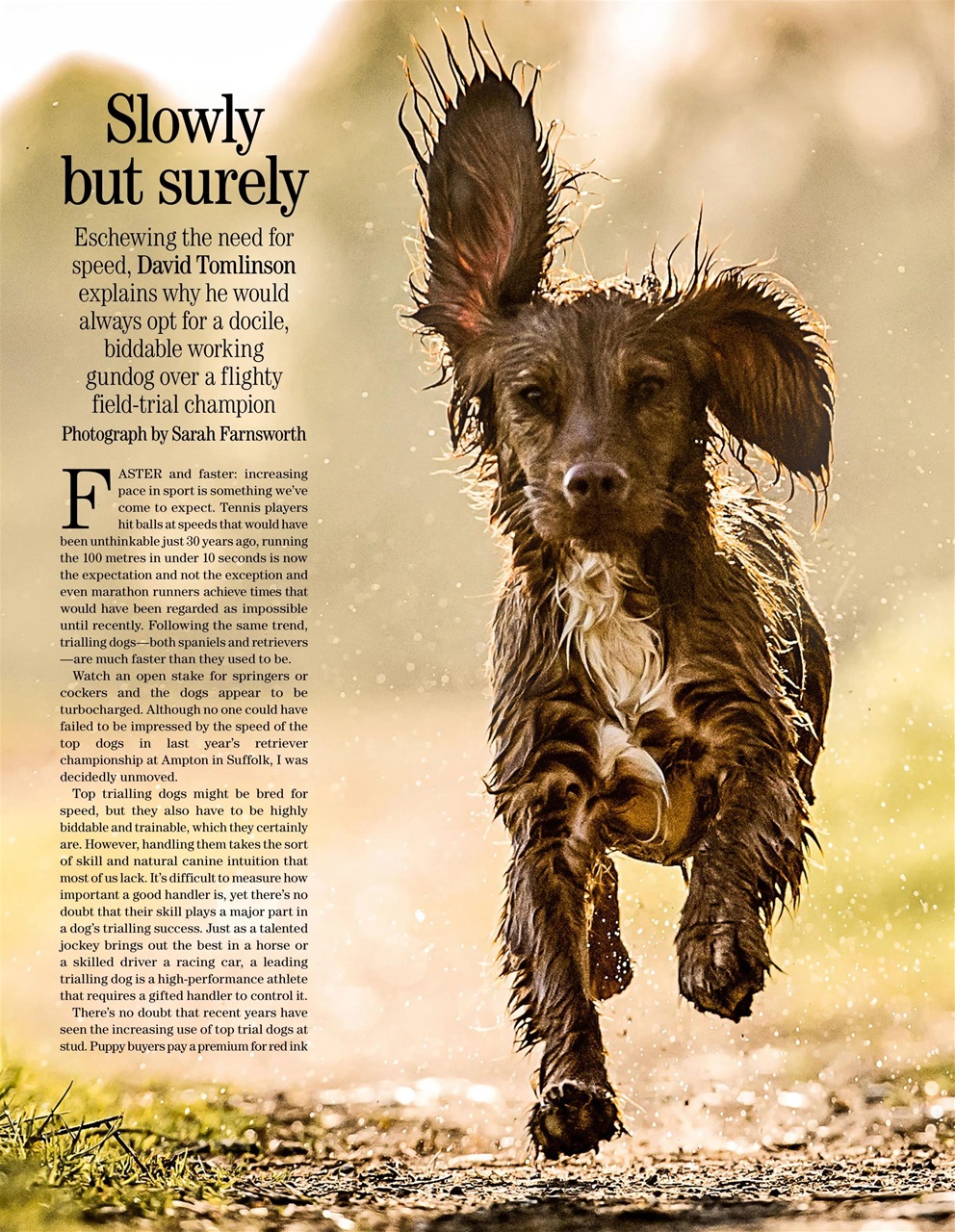 Country Life Bookazine Preview Pages